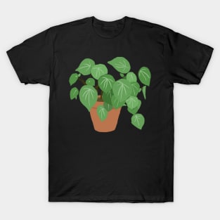 Peperomia Argyreia Watermelon Plant T-Shirt